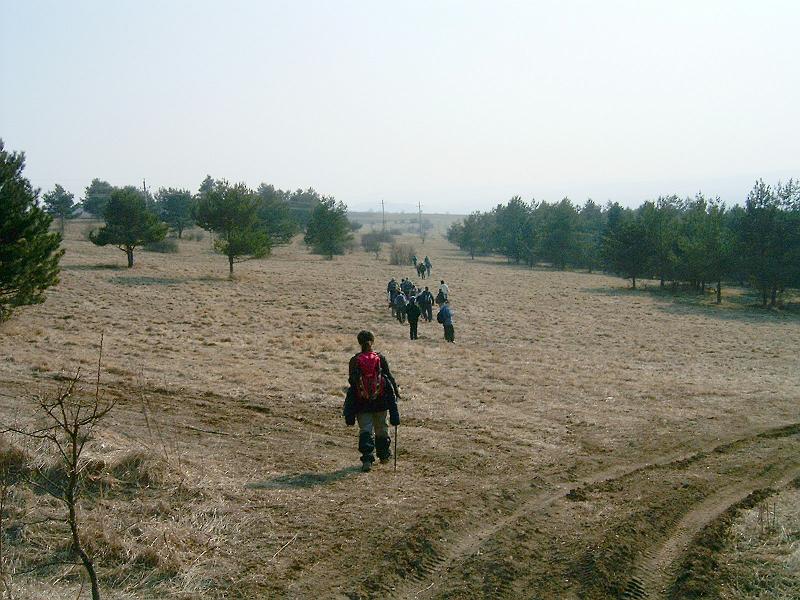 20110312 061.jpg